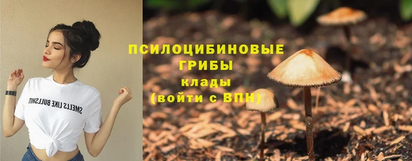 хмурый Балабаново