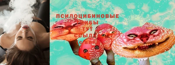 ешки Балахна